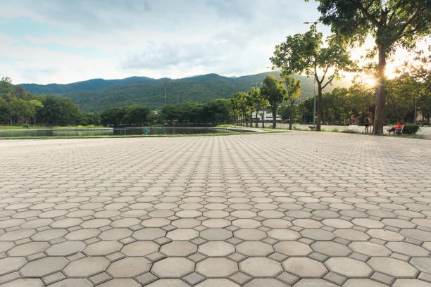 Best Driveway Paver Repair  in Washington Terrace, UT